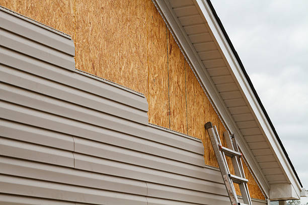 Professional Storm Damage Siding Repair technician working in Lakeland, MN